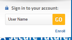 Webster Bank Enroll